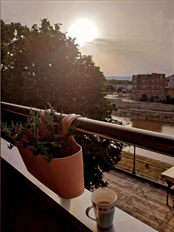Melinaki Apartment นิส ภายนอก รูปภาพ