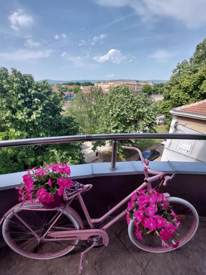 Melinaki Apartment นิส ภายนอก รูปภาพ